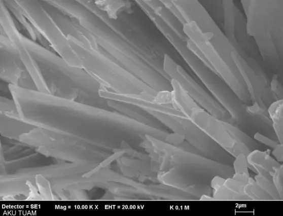 BDM Powder